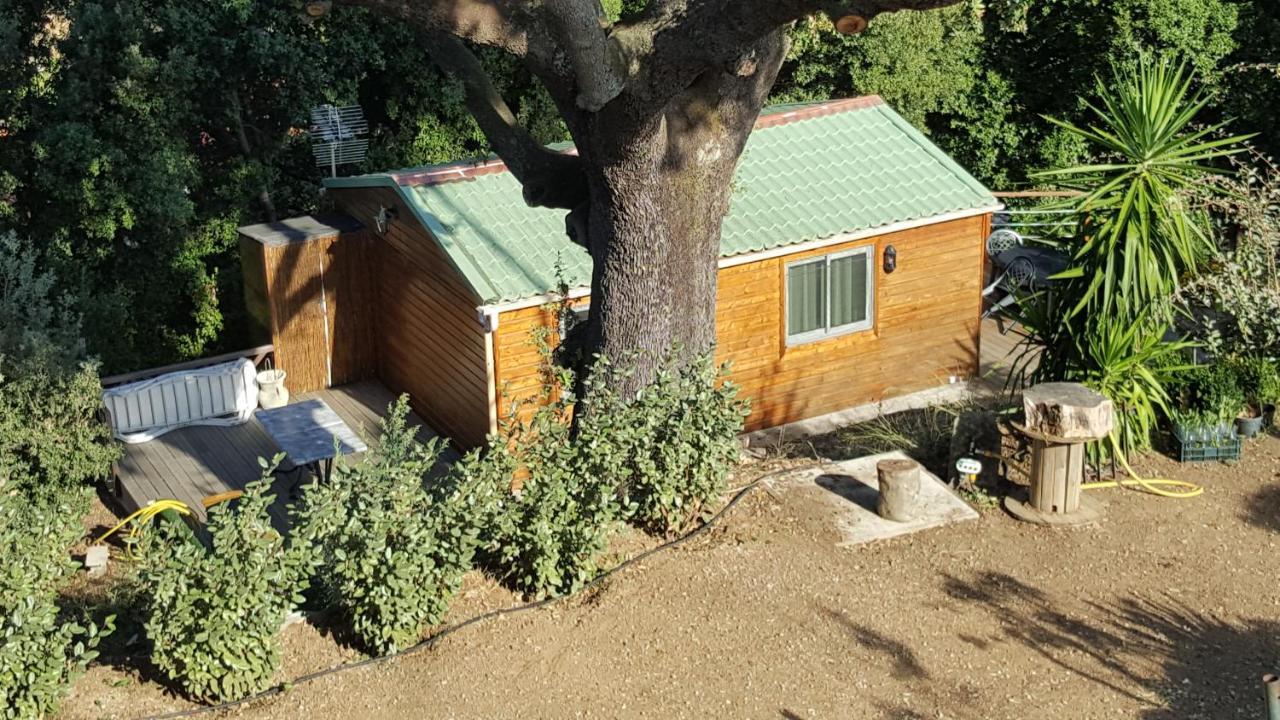 Le Petit Chalet Porticcio  Exterior foto